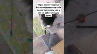 Бася стала домашней #shorts #бездомныеживотные #кошки #пр?