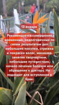 12 января 2025 г.