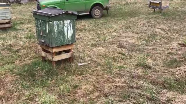 ПЧЕЛЫ ЛЕТАЮТ ЧЕРЕЗ КРЫШКУ, А НЕ ЧЕРЕЗ ЛОТОК