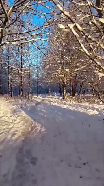 У тебя есть два варианта #характер #цытатыожизни #цыта?