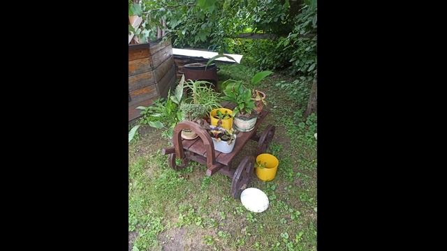 Коммерческая недвижимость в с. Турбаза Катунь