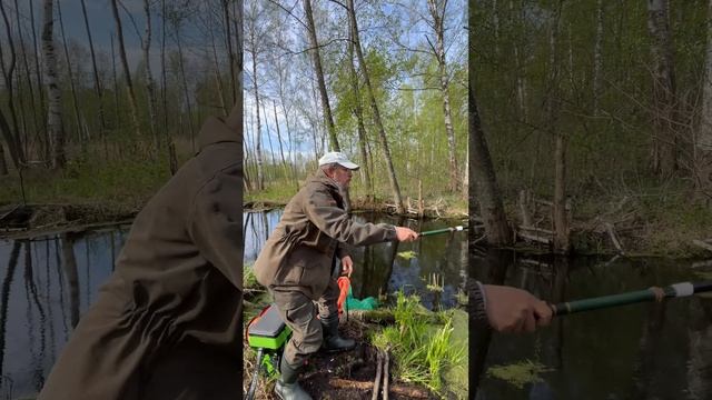 Рыбалка в лесной глуши