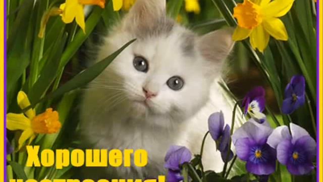 С ДНЕМ РОЖДЕНИЯ!!!