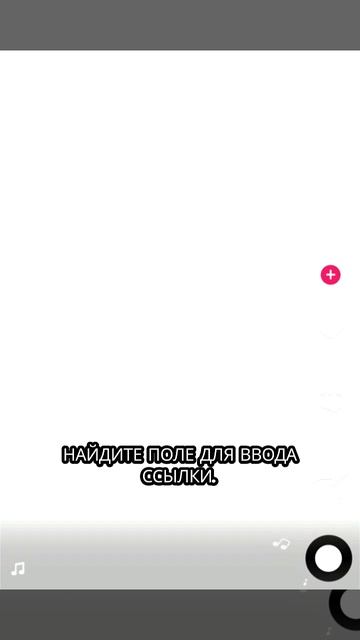 Как добавить ссылку Discord в биографию TikTok