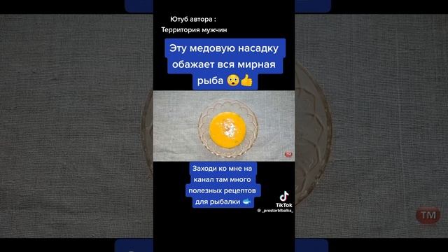 прикормка из кошачего корма