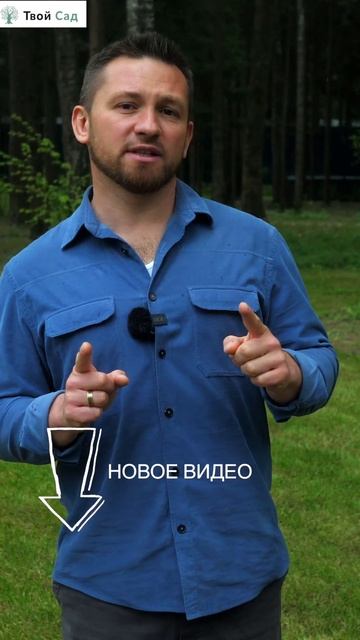 Зачем необходимо землевание газона? #землевание #Shorts