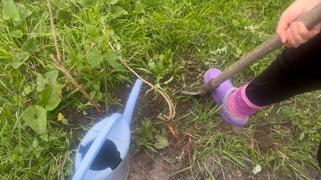 Визит на дачу закончился работой.