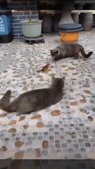 ❗️Смотреть до конца