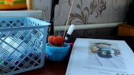 Процессы, покупки, почему продаю котят, природа 🥰🥰🥰