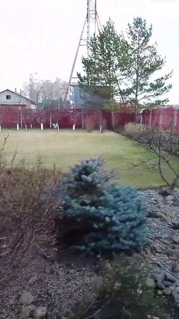 после уходовых работ. #ландшафтныйдизайн #landscapedesign #да?