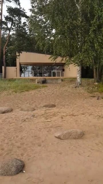 в Питере тоже есть море