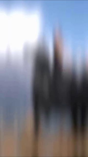 на коне.mp4