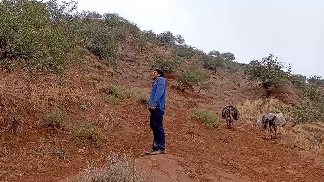 Ҷангали зағерти тамошо кунед ҳаловат баред✊