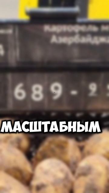 Картофель почти по 700 рублей за кило нашли на полках магазина в Петербурге