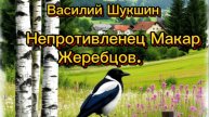 Василий Шукшин. Непротивленец Макар Жеребцов.