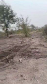 VID-20250508-WA0012