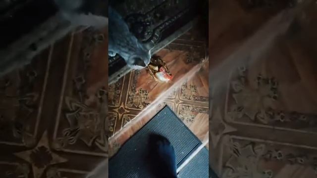Рыба вяленая, простите за мат, автор эмоциональный фермер