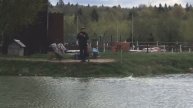 утренние поимки форели