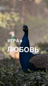 Как найти мужа?