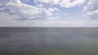 Таганрог. Прогулка по берегу Таганрогского залива. Богудония широкая.