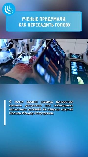 ❓ПЕРЕСАДКА ГОЛОВЫ-ХАРАМ❓#мирадио #москва #харам #халя