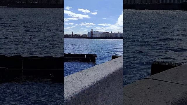 Прогулка от Петропавловской крепости до Ростральных колонн в Петербурге