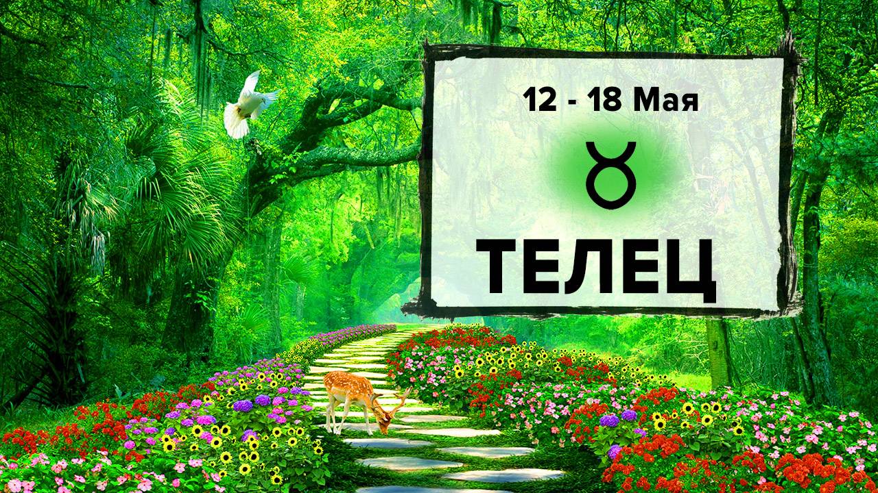 ТЕЛЕЦ ♉ 12 - 18 Мая 2025 | Расклад таро на неделю для знака Зодиака Телец