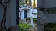 Кот на фоне заката — лучшее фото путешествия