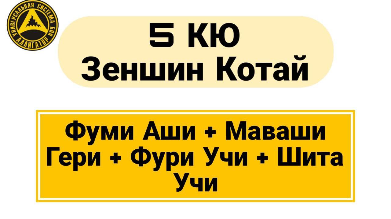 5 Кю Зеншин Котай: Фуми Аши + Маваши Гери + Фури Учи + Шита Учи