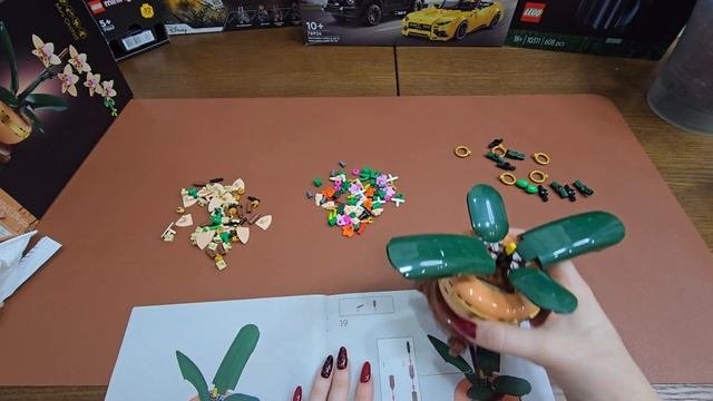 LEGO Botanicals Міні орхідея (10343)