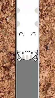 Кото чипсы