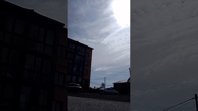 футбол