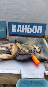 Норма за 2 часа.
