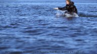 Звуковая магия этих водопадов! - Daisy -- Les Hayden -- Home