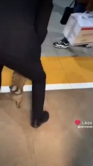Безбилетный пассажир