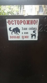 Позитива с утра