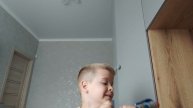 я делаю обзор на ручку на морского льва и на зайчика