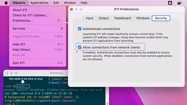 18-X server for remote Geant4 GUI