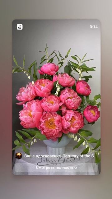 пора цветения пионов давным-давно уже прошла 🌺🌷🌺