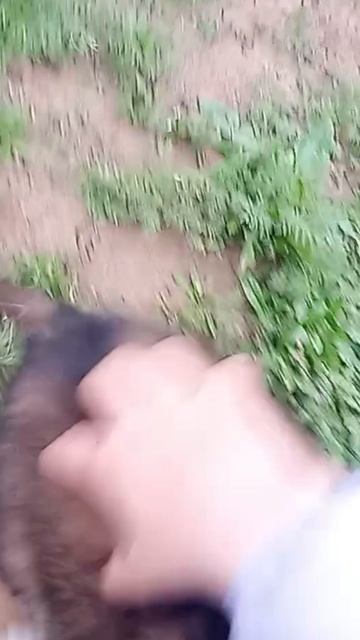 1000080526.mp4