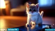Подпишись на RuTube FM