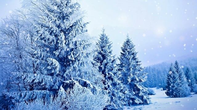 Футаж  Зимний пейзаж 19  Footage Winter landscape 19