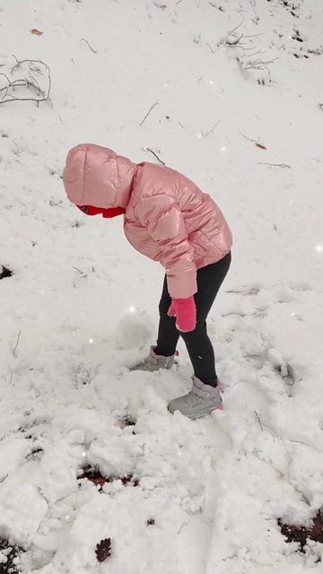 Редкость снег в Севастополе. кайфуем пока он есть😉😋?