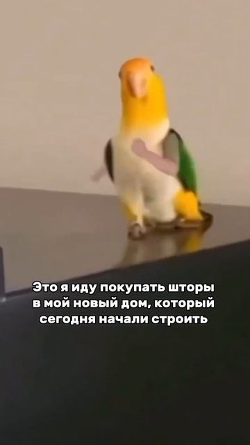 Когда строишь дом… #каркасные_дома #каркасныйдом #стр?