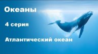 Океаны. Атлантический океан (4/8)
