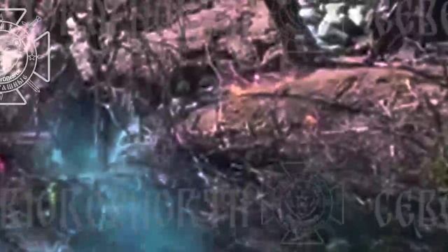 💥Бои в Харьковской области: Северяне уничтожают опорный пункт ВСУ !!!