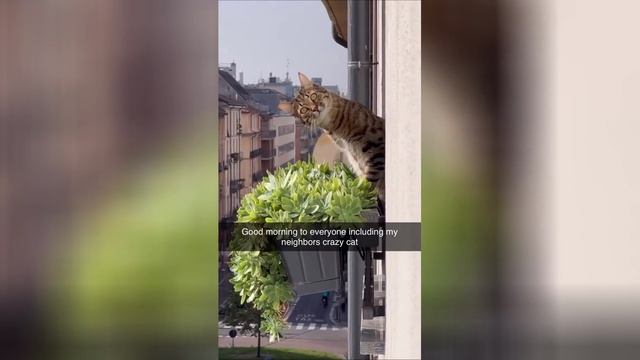 Best video of Tik Tok! 08.05.25 / 10