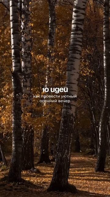 В видео звучит отрывок из книги «Анастасия», читает Вл