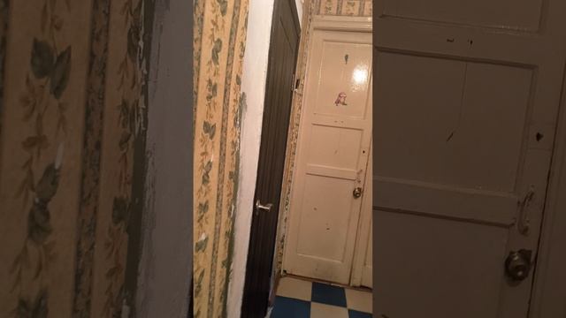 1000132357.mp4