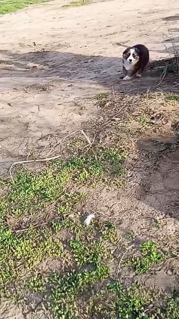 1000080228.mp4